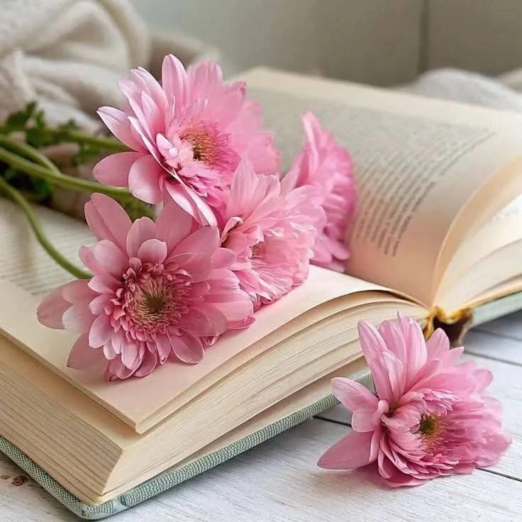 🌸 Подборка каналов МАХ, где каждый найдёт что-то для себя✨