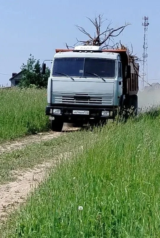 «Добрый день. Утром застала КАМАЗ, везущий мусор в лес. Там уже имеется куча обрезанных деревьев и с