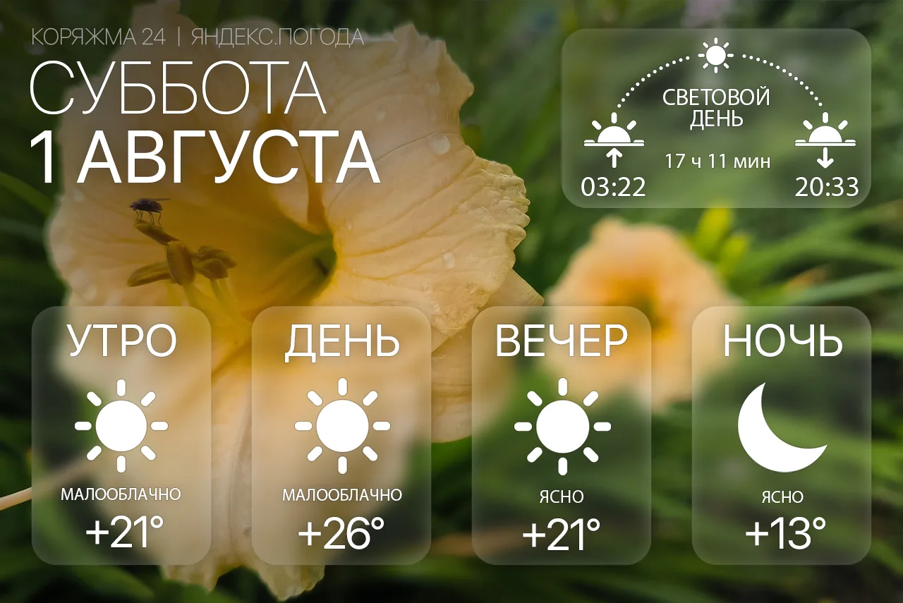 Доброе утро, Коряжма! ☀