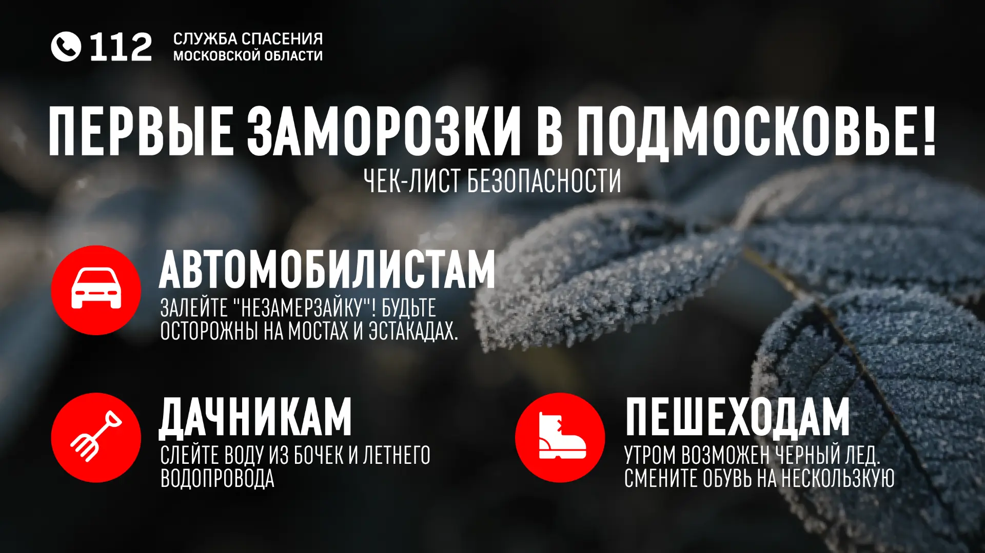 Синоптики предупреждают: в Подмосковье идут первые ночные заморозки! Пора готовиться к ...