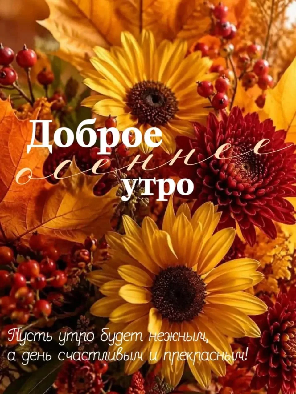 ☕️ #доброе_утро