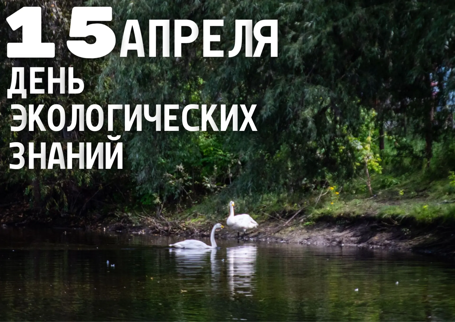 С добрым утром, жители и гости Культурной столицы!