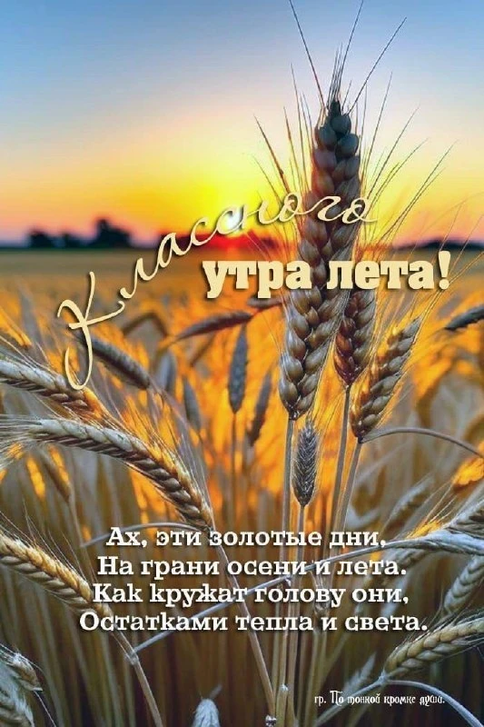 🌷 Открытки подписаться 👈