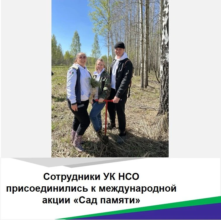 🌲Сотрудники контрольного управления Новосибирской области присоединились к международной акции «Сад