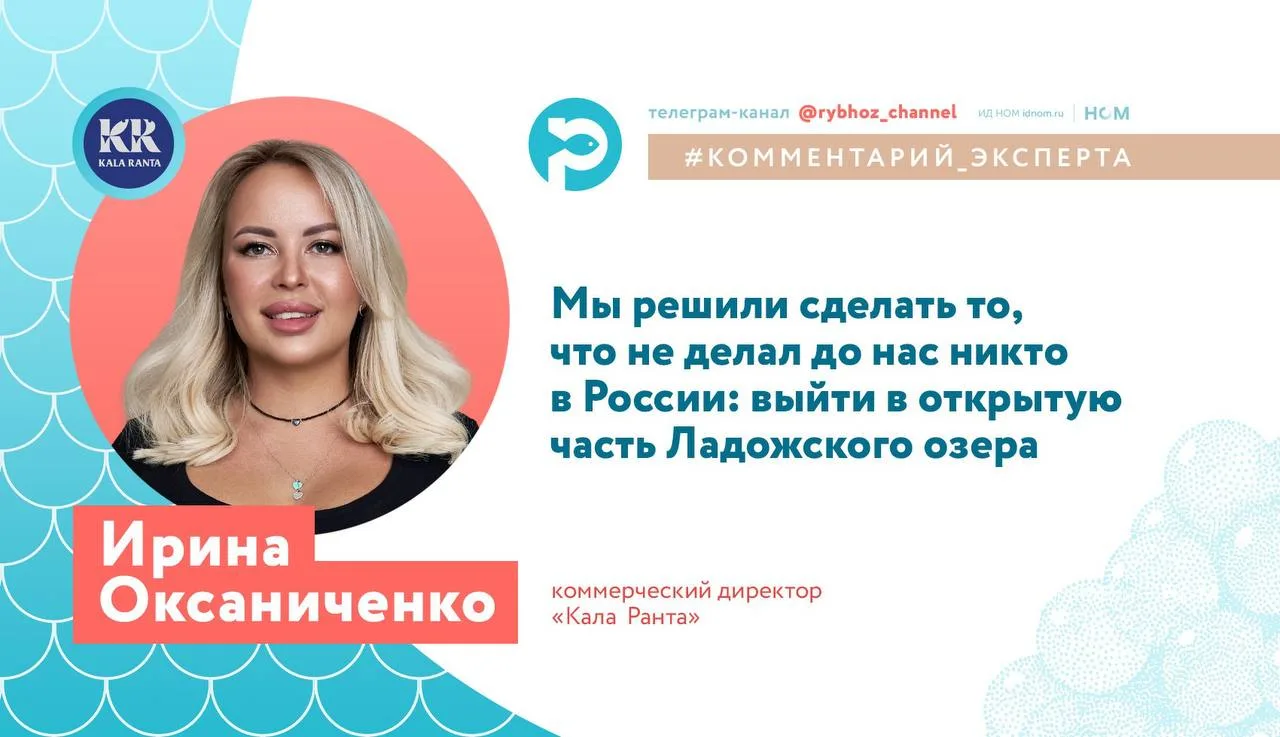 #комментарий_эксперта