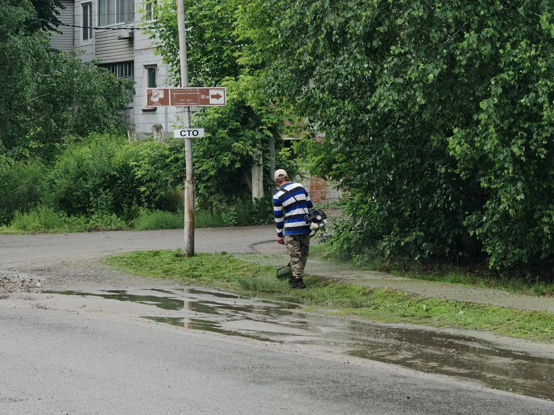🌿 В Дальнереченске продолжаются плановые работы по покосу травы

Покос проводится по улицам  Рябухи