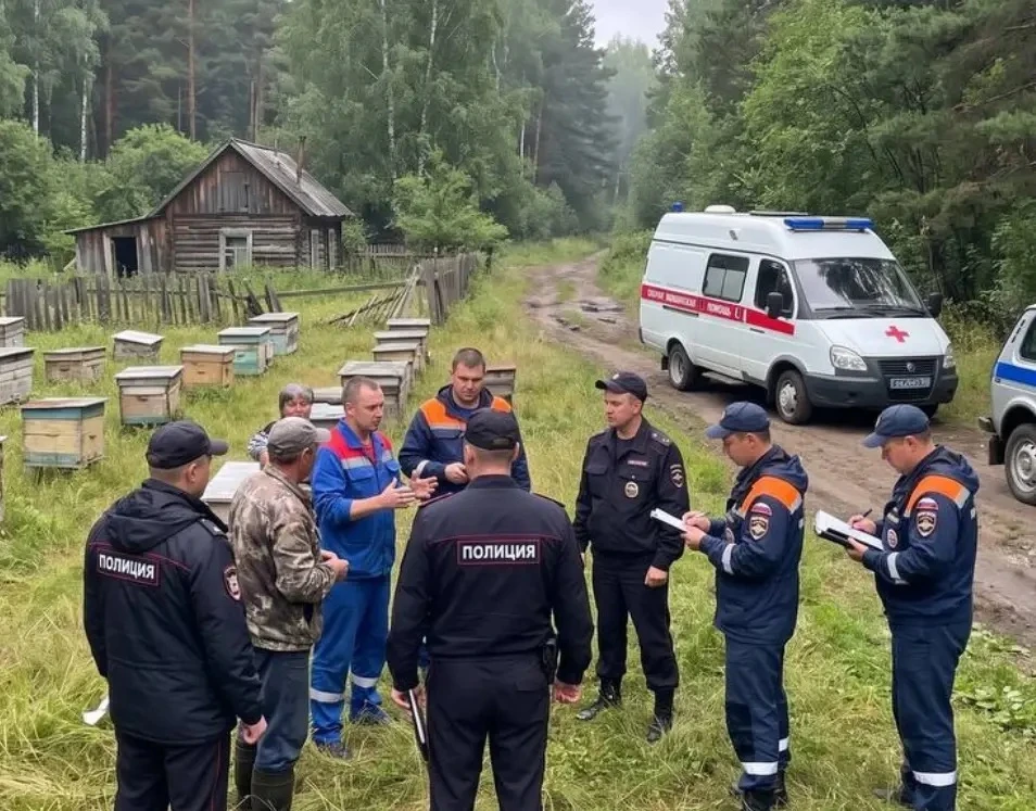 Медведь разодрал голову 15-летнему подростку на пасеке в Алтайском крае.