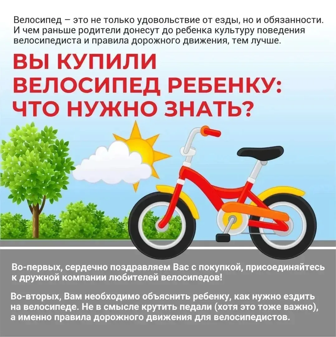 Мчаться быстрее ветра - это ли не счастье? Но необходимо помнить определенные правила б...