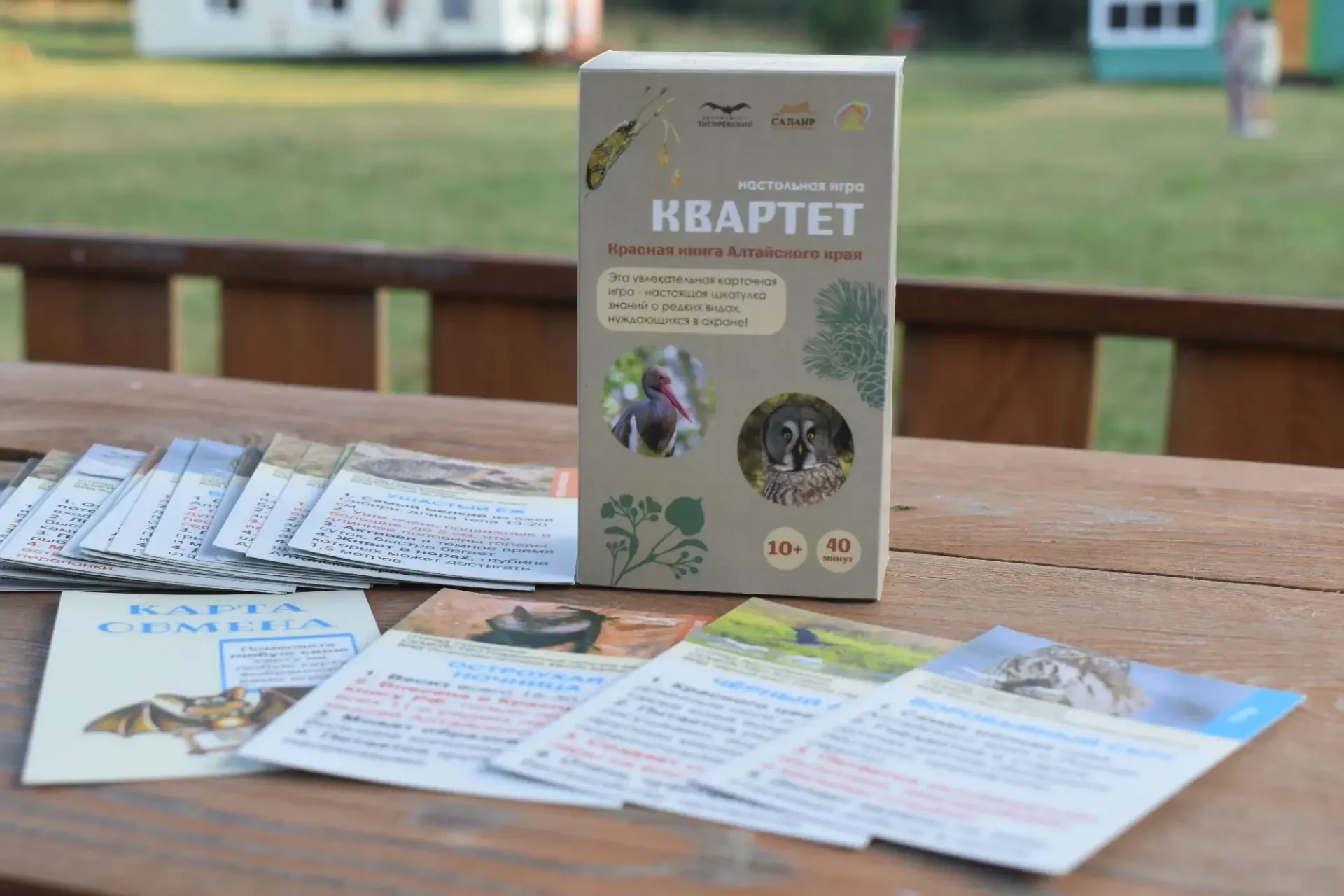 🎉 Музейный ФЕСТИВАЛЬ познавательного досуга «ЧЕЛОВЕК ИГРАЮЩИЙ» 🎉