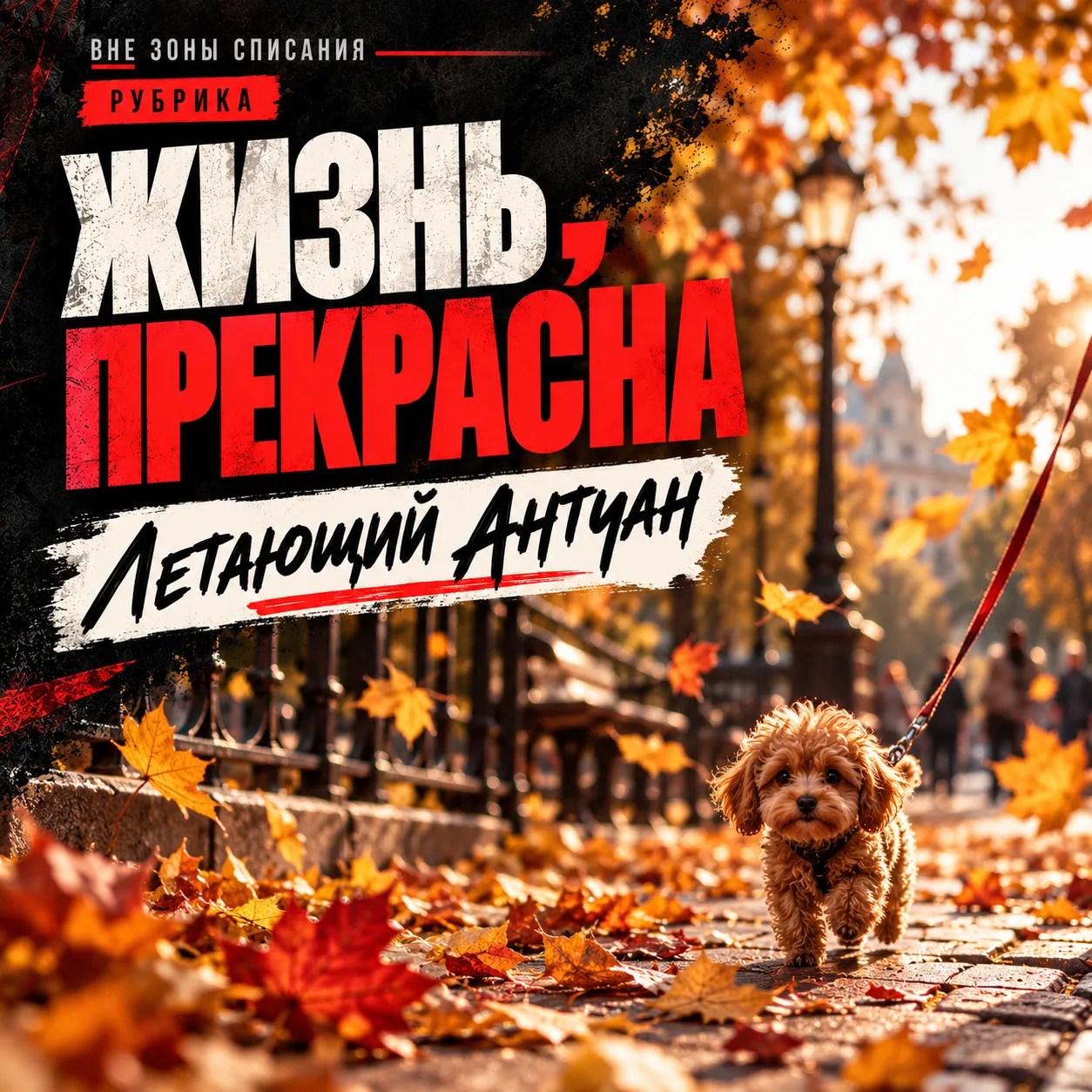 К собакам я отношусь с искренней симпатией. Даже к тем, которых в процессе генетическог...