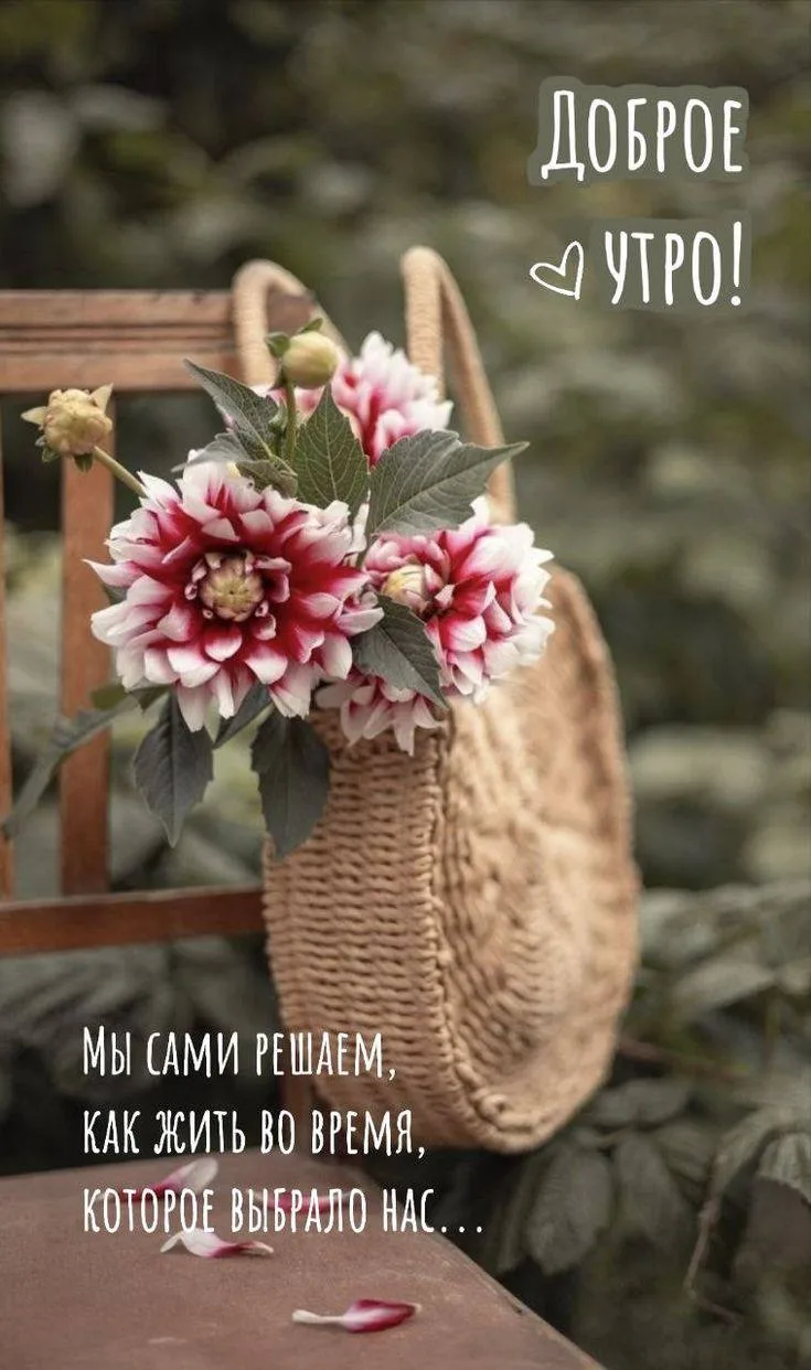 Доброе утро! 🌷