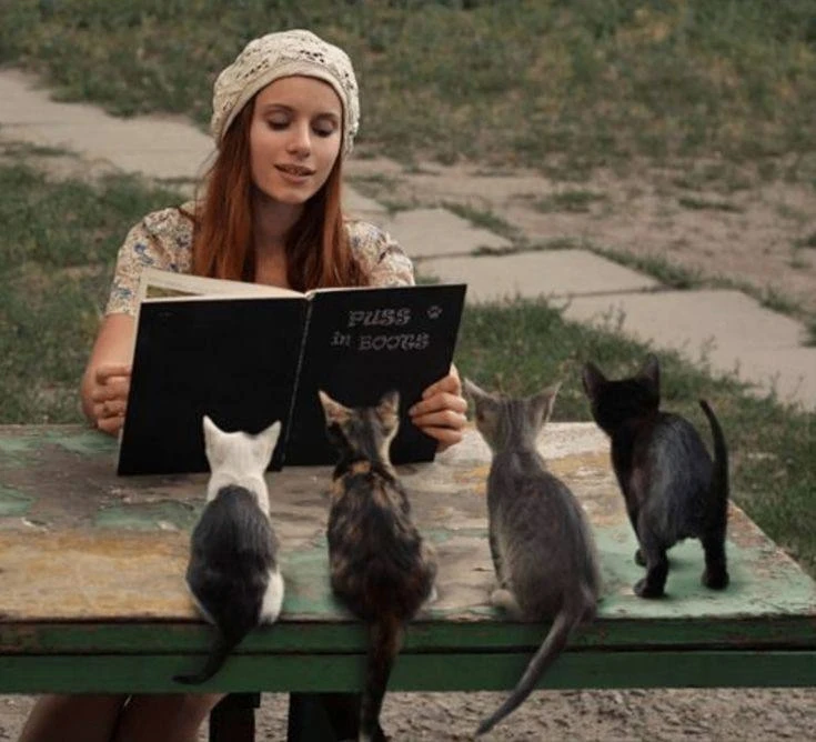 🐈‍⬛ Почувствуй разницу: