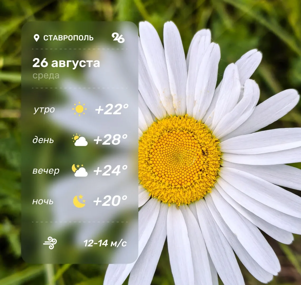 ⛅️ Доброе утро! Погода в среду, 26 августа