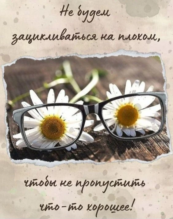 Цитаты жизни
