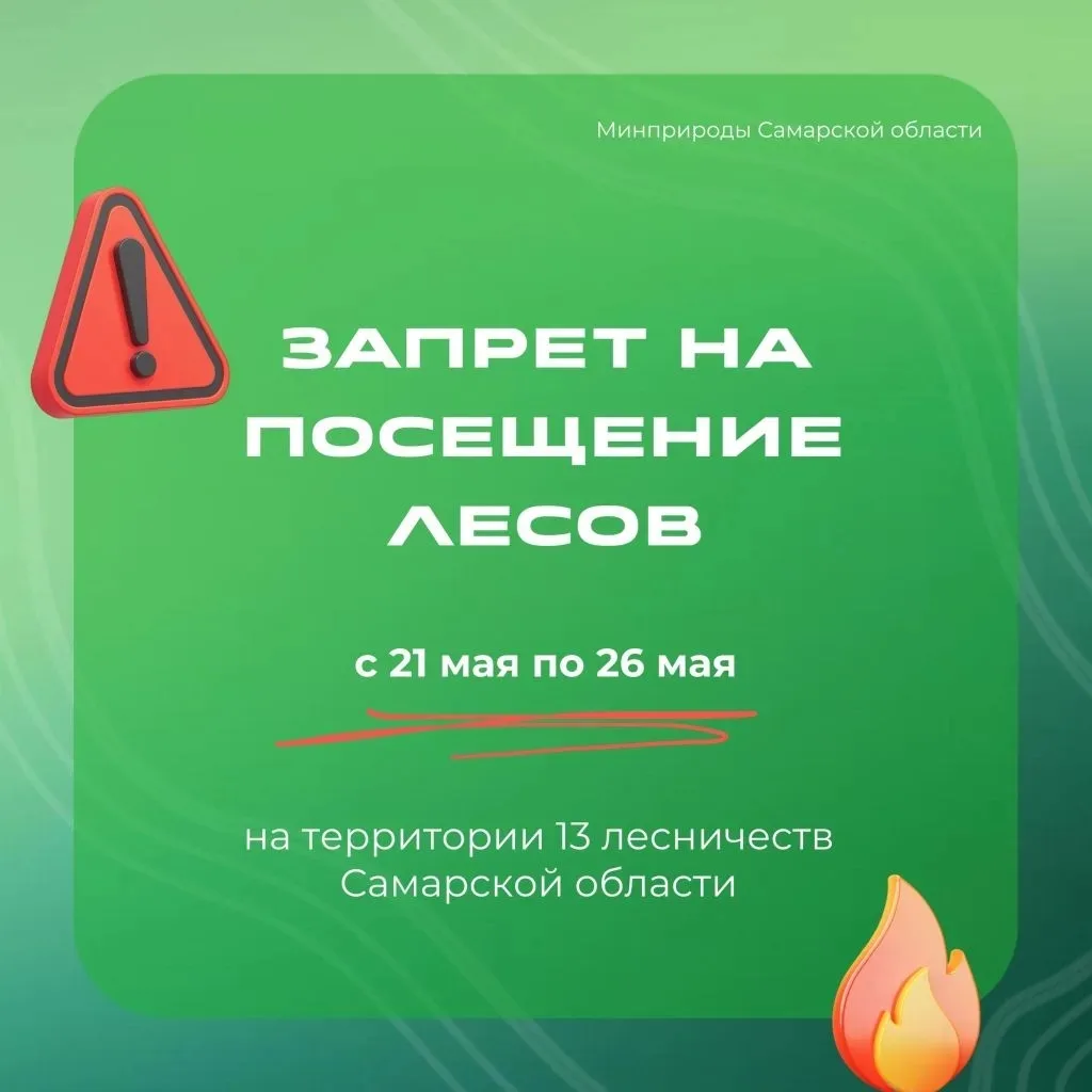🔥 Высокий риск лесных пожаров