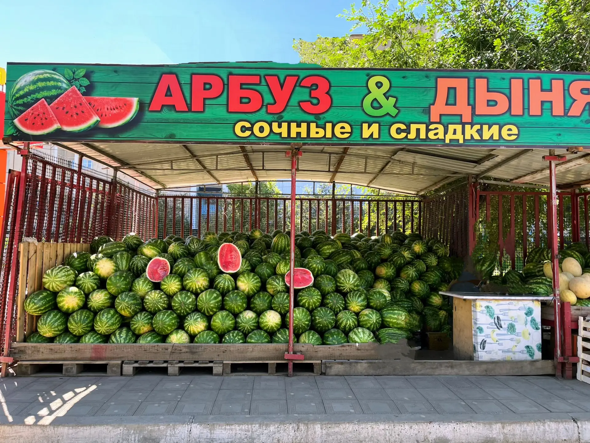 СЛАДКИЕ КАЗАХСТАНСКИЕ АРБУЗЫ В ПРОДАЖЕ! 🍉