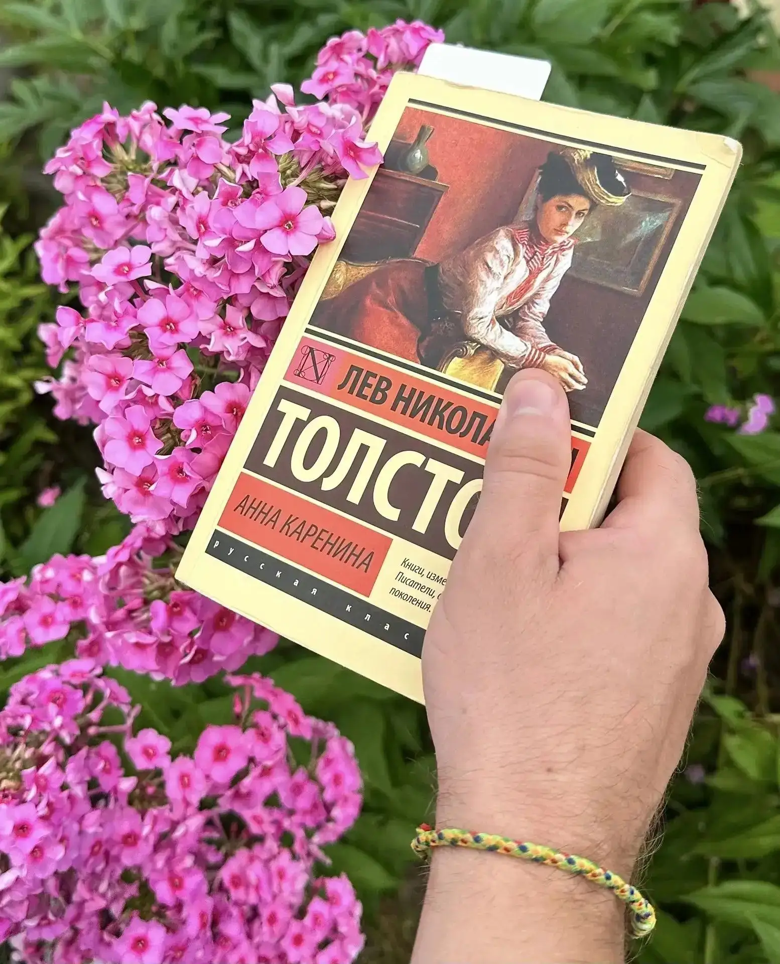 Привет, читатели 🌸