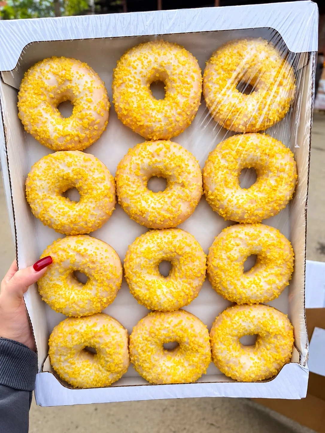 ПРИЕХАЛИ ВОСХИТИТЕЛЬНЫЕ ПОНЧИКИ 🍩