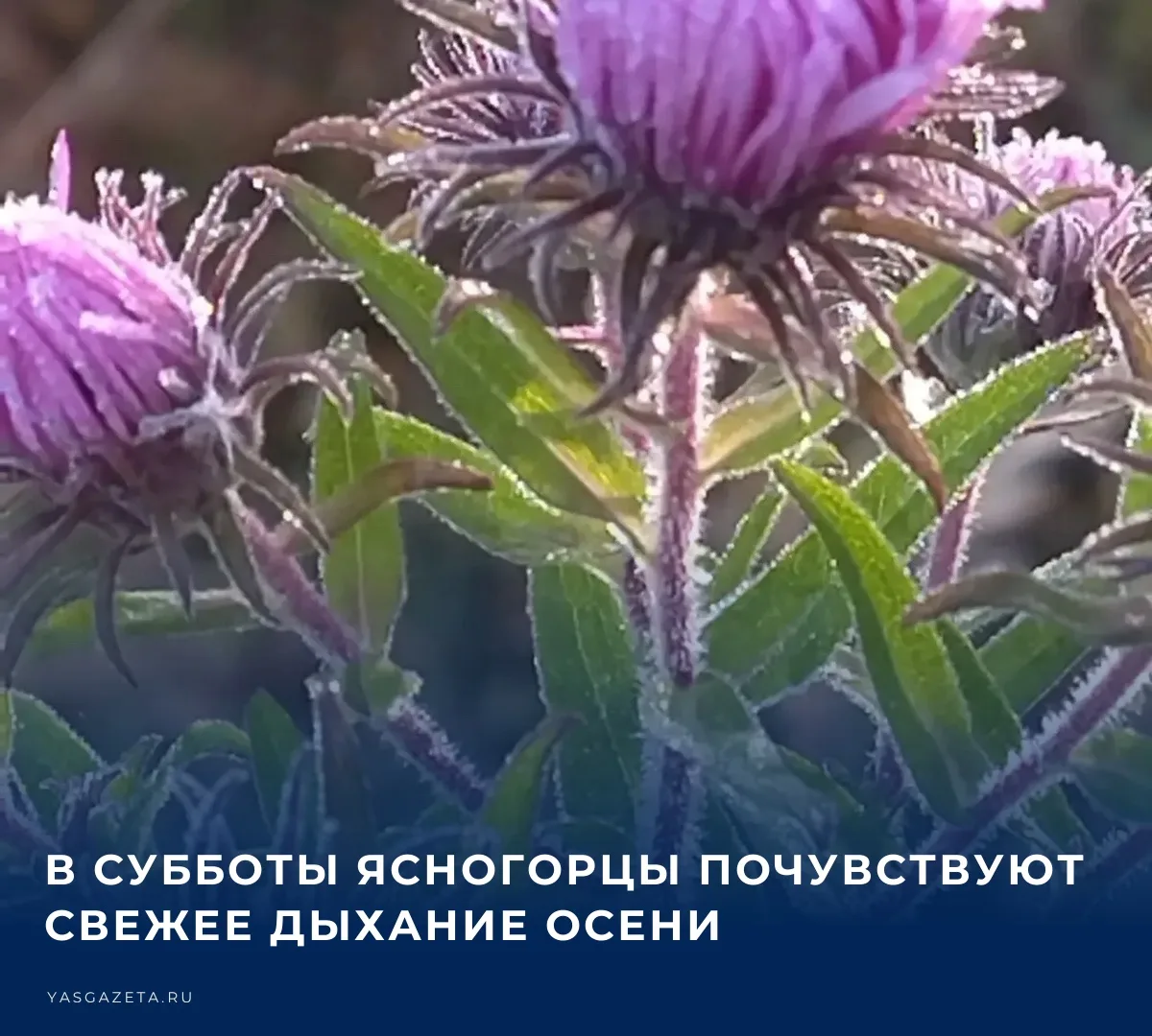 🌤️ По прогнозам синоптиков, 3 октября - переменная облачность, преимущественно без оса...