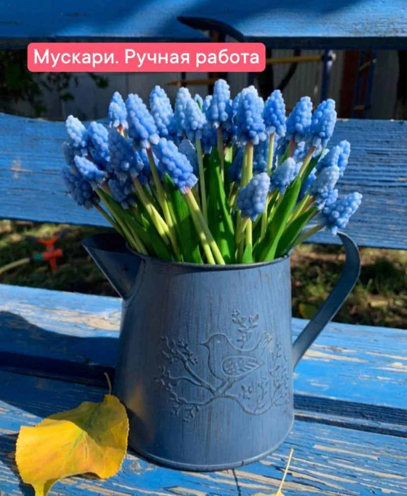 🌟 Ответ на вопрос: «Это реальная цена за букет мускари?» 🌟Дорогие клиенты! Мы часто сталкиваемся с