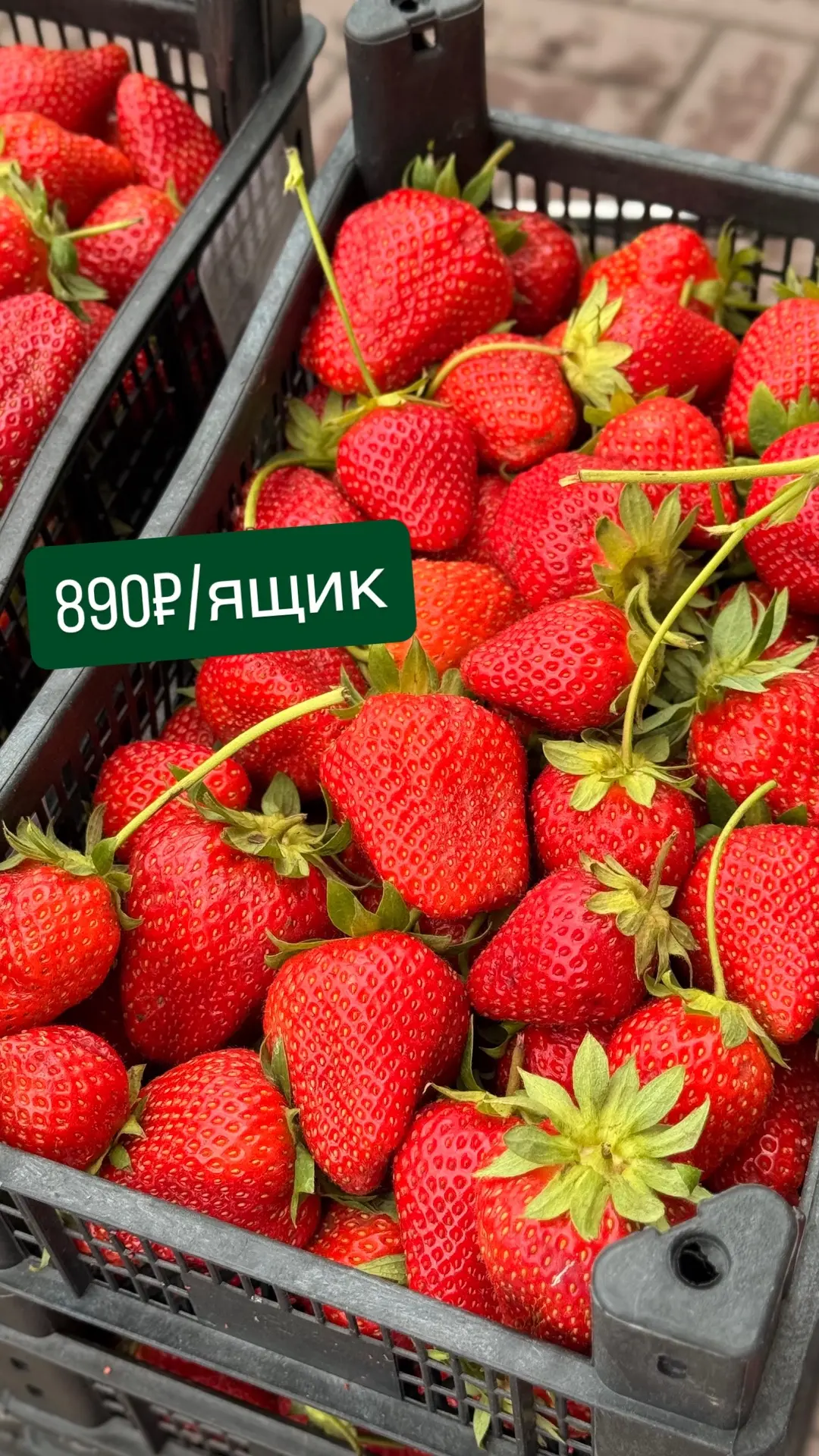 АКЦИЯ🍓 890₽/ящик азербайджанской клубники🍓

Ждём в гости, на Ленина 59/1🥰

С любовью, ФРЕШИК💚