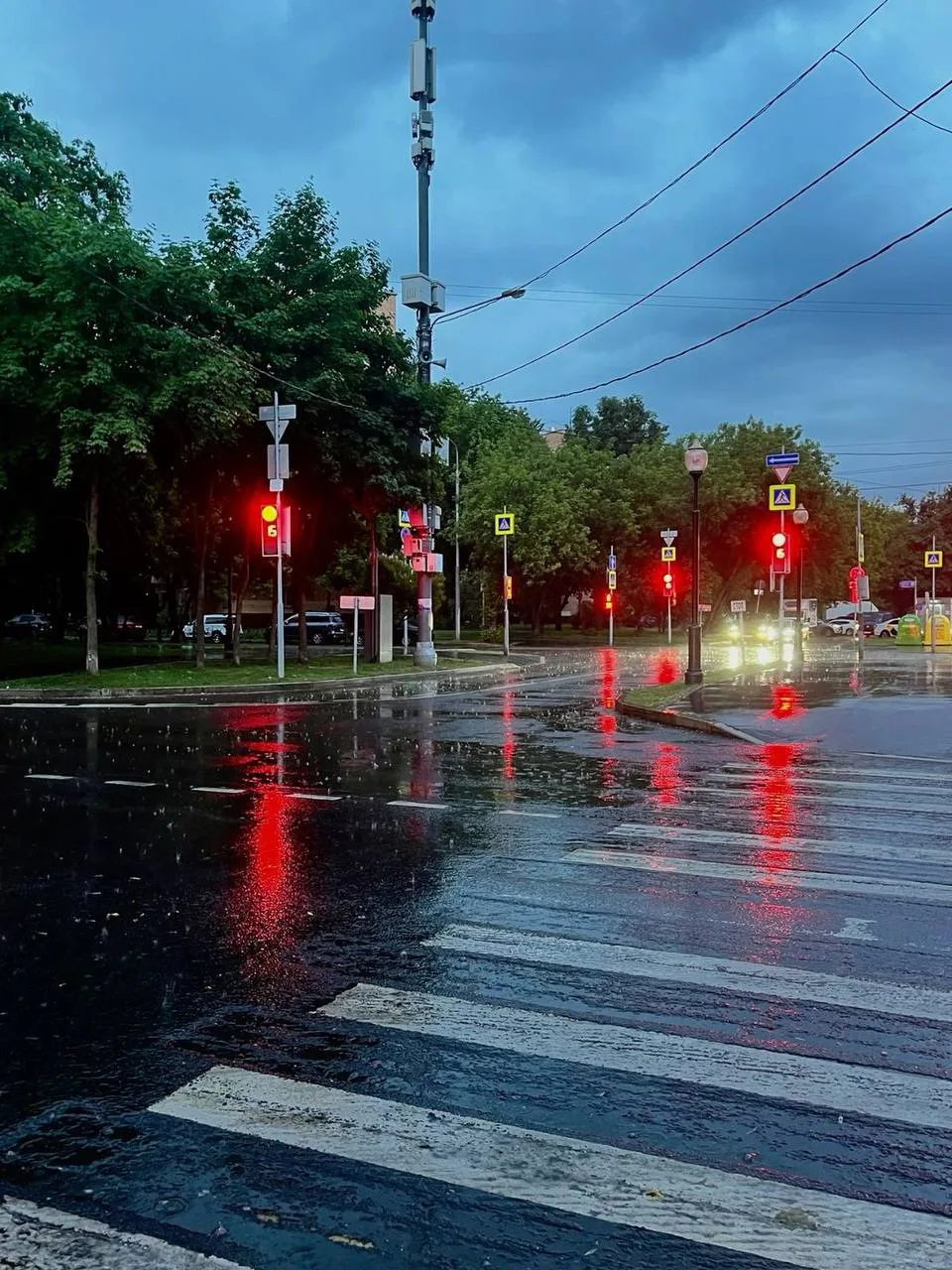 Всю рабочую неделю в Москве будут идти дожди, — синоптики
