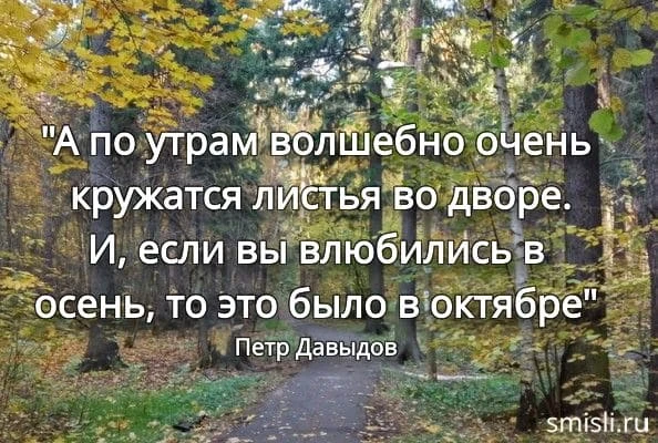 Доброго дня!