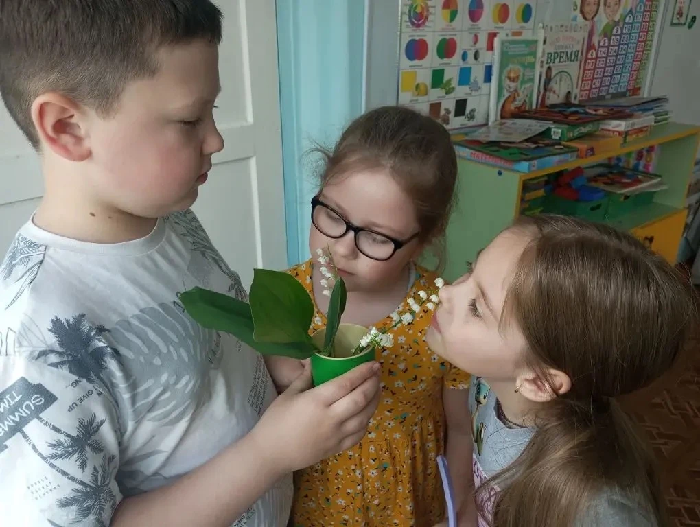 Ландыш спрятался в листве,
