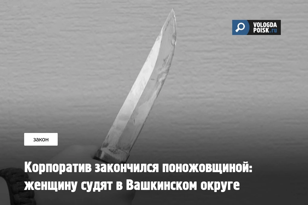 Жительницу Вашкинского округа будут судить за умышленное причинение вреда здоровью сожителя. Инциден