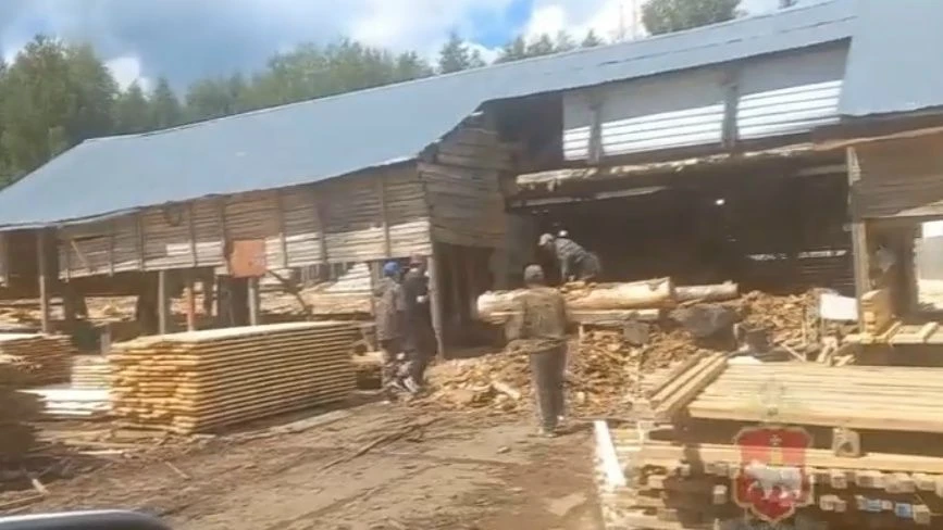 Полиция выявила нелегальных рабочих из Китая на пилорамах Кудымкара. Подробности тут👉 https://parma