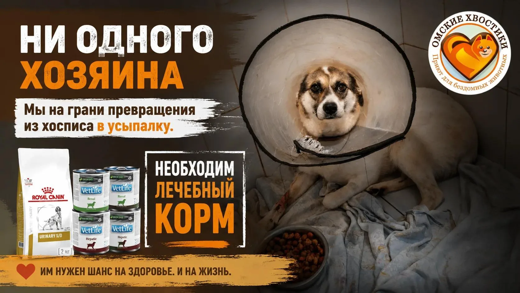 🆘 500 жизней. И ни одного хозяина. Мы на грани превращения из хосписа в усыпалку! 💔