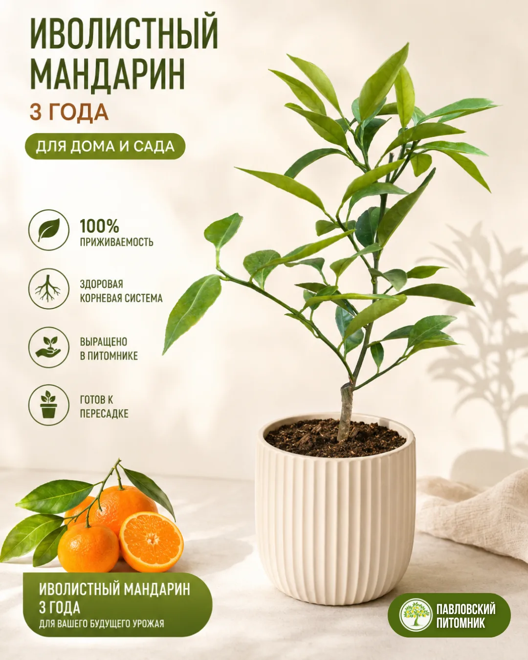 🍊 Иволистный мандарин и скидки