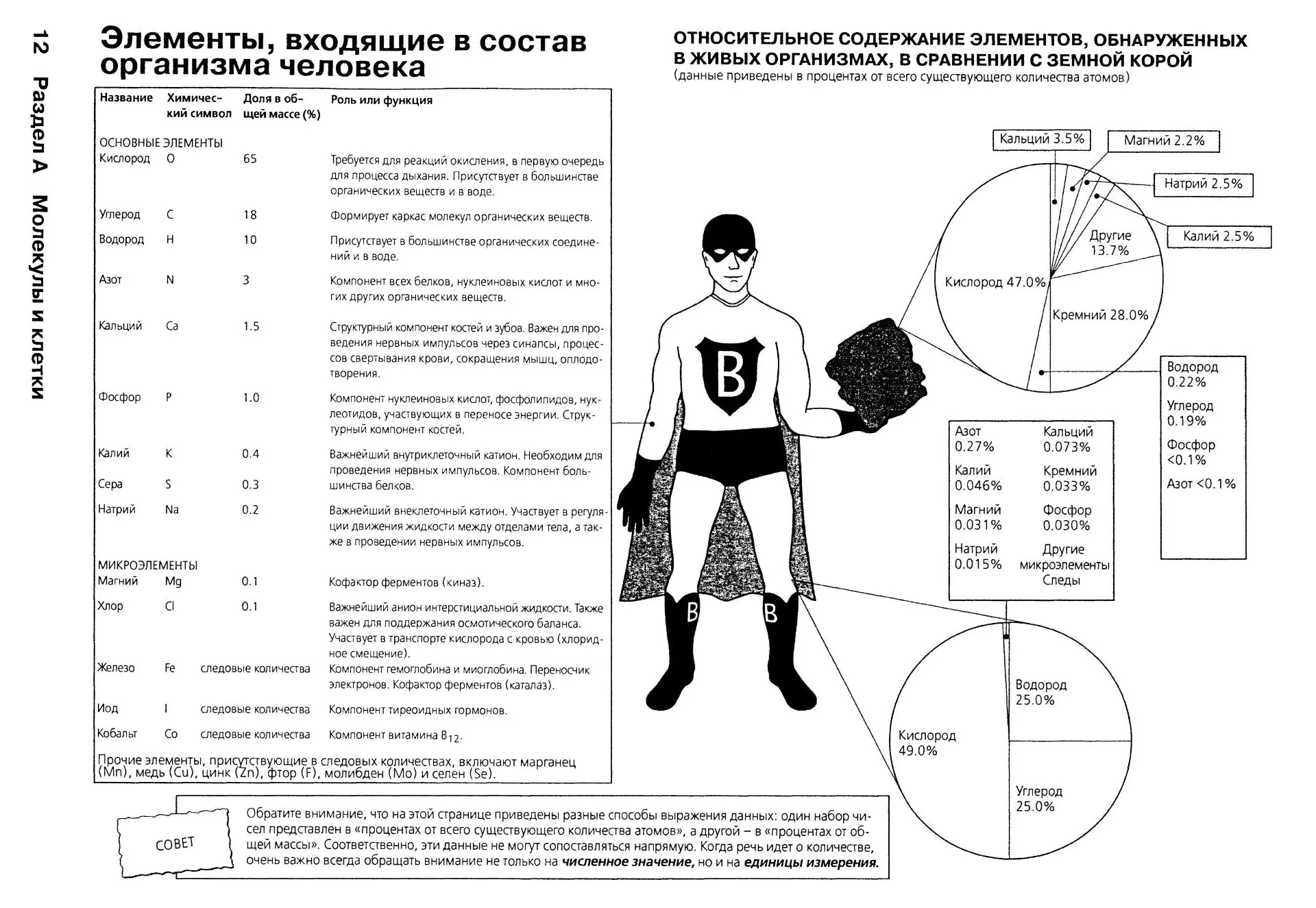 Основные элементы, входящие в состав организма человека