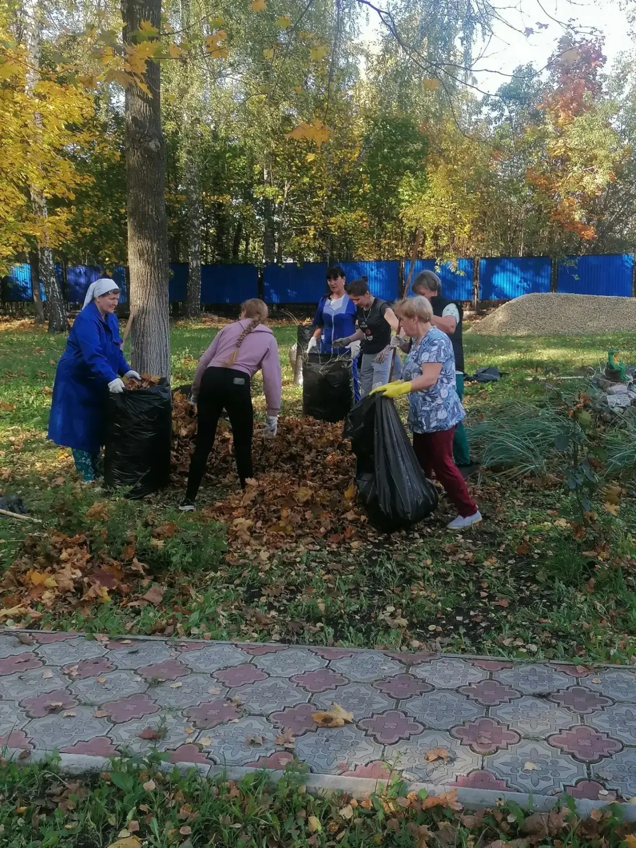 Сегодня мы дружной командой организовали экологический субботник, привели в порядок при...