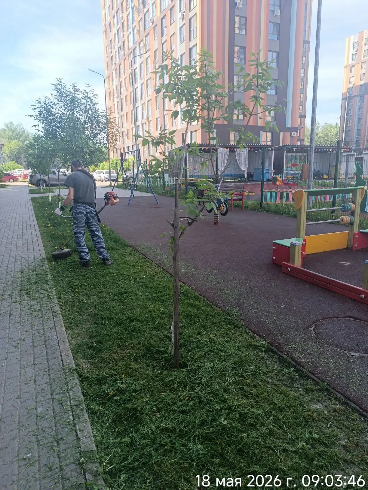 Начали покос травы на придомовой территории   ЖК Октава.