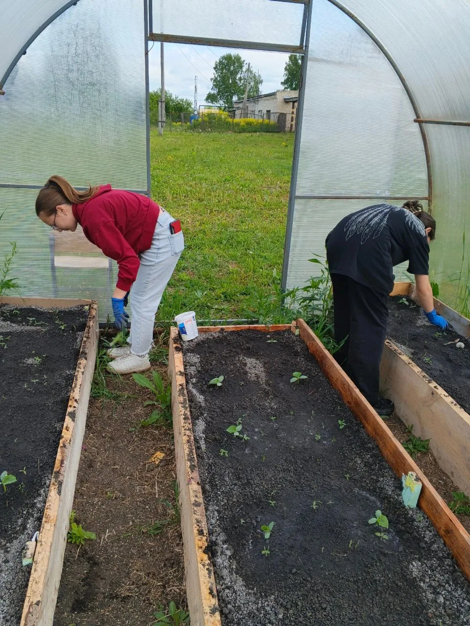 🌱 Дневник агроотряда «Росток»!🌱

Сегодня наш отряд с самого утра трудился в теплице не покладая ру