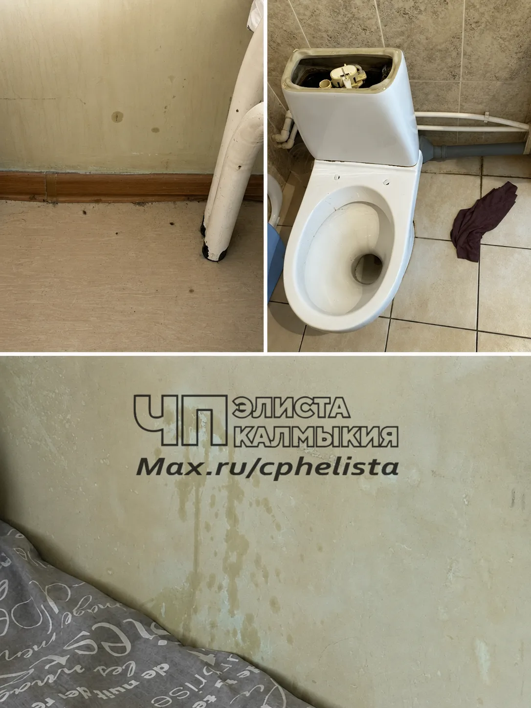 😱Нам пишут : ЛЕЧЕНИЕ ТАРАКАНАМИ и сломанными унитазами   
РЕСПУБЛИКАНСКАЯ больница имени Жемчуева
 