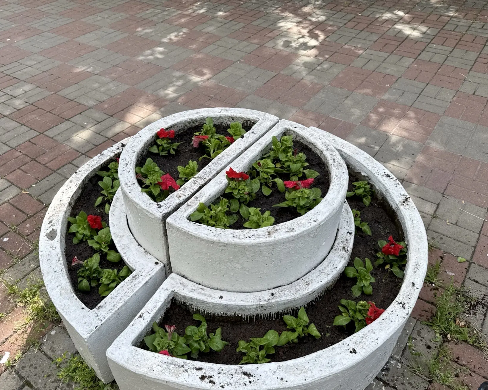 🌿В рамках муниципальной программы «Благоустройство» были проведены работы по посадке ц...