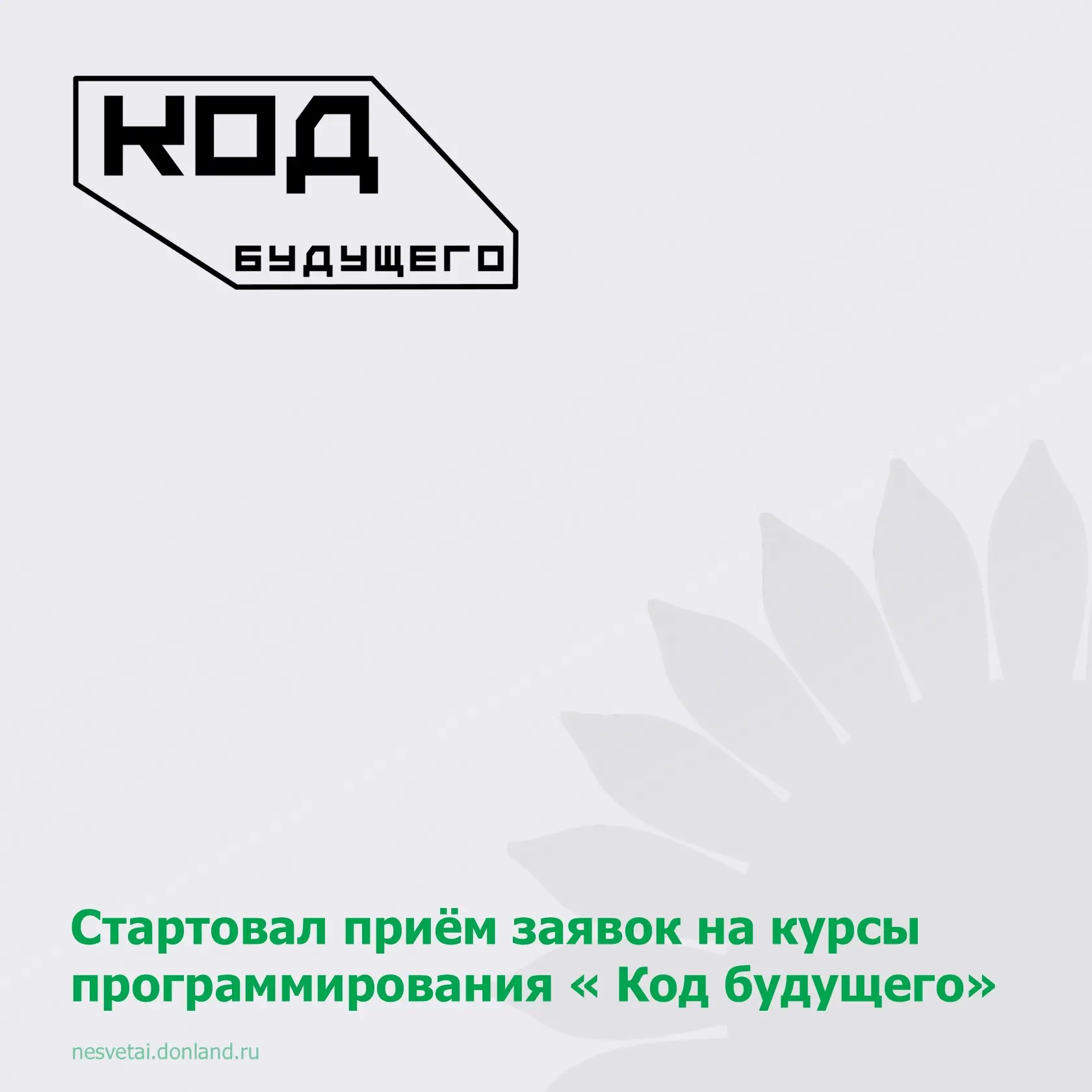 На портале «Госуслуги» стартовал приём заявлений на бесплатные курсы по программировани...