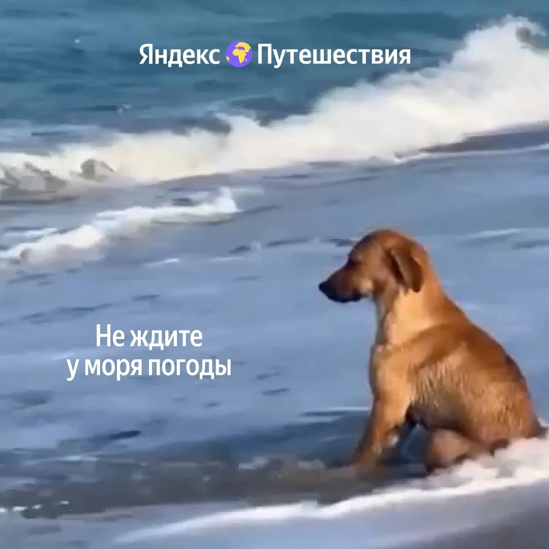 Отдыхайте на море выгодно — сейчас!