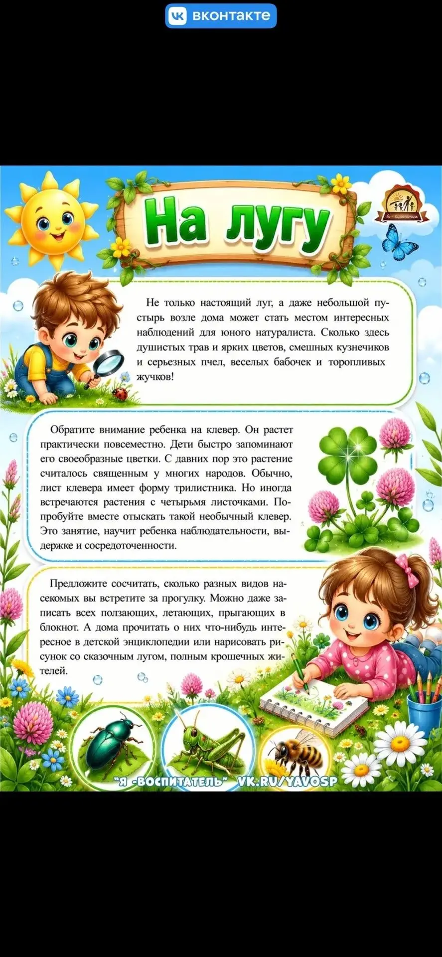#ДетскийСад55Новочеркасск