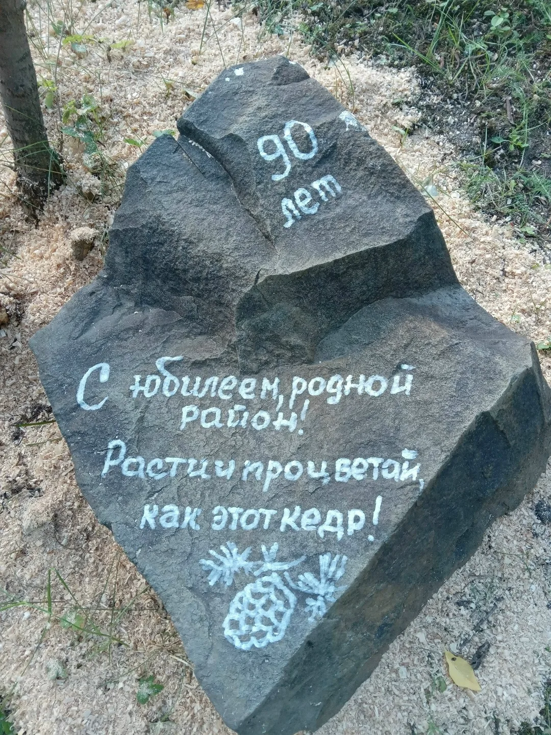 Шегарскому району - 90 лет. С юбилеем!