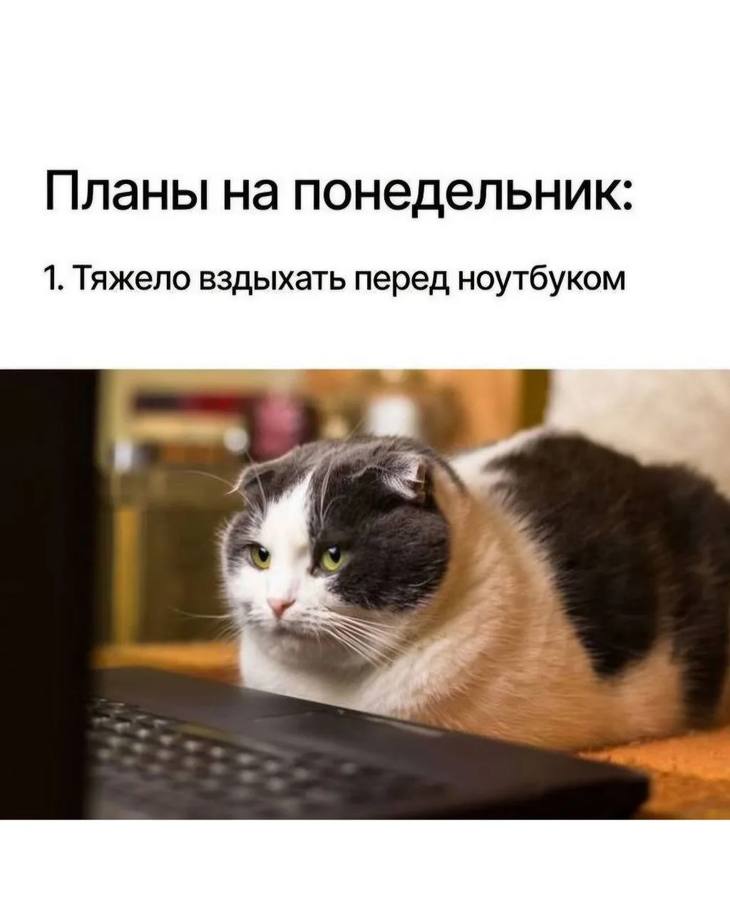 Надо ставить себе простые и легко исполнимые цели