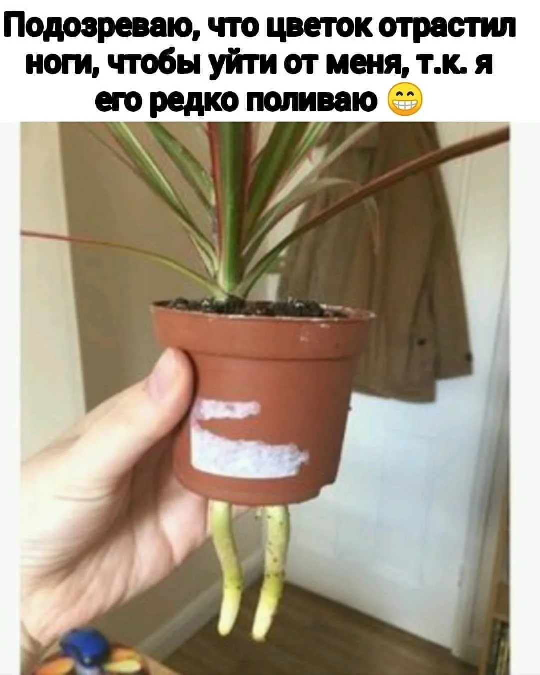 ____________________