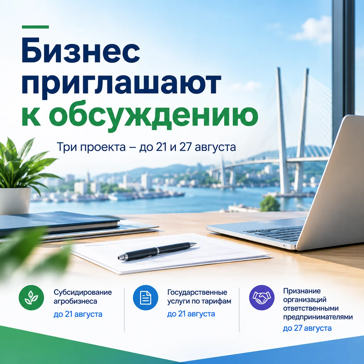 В Приморье обсуждают три проекта, которые затрагивают сферы бизнеса
