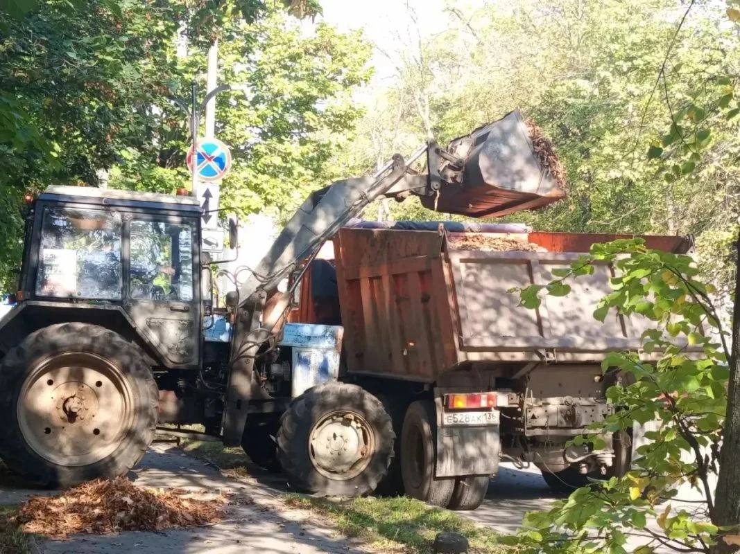 Коммунальщики в Воронеже трудятся на благо чистоты улиц и днём, и ночью