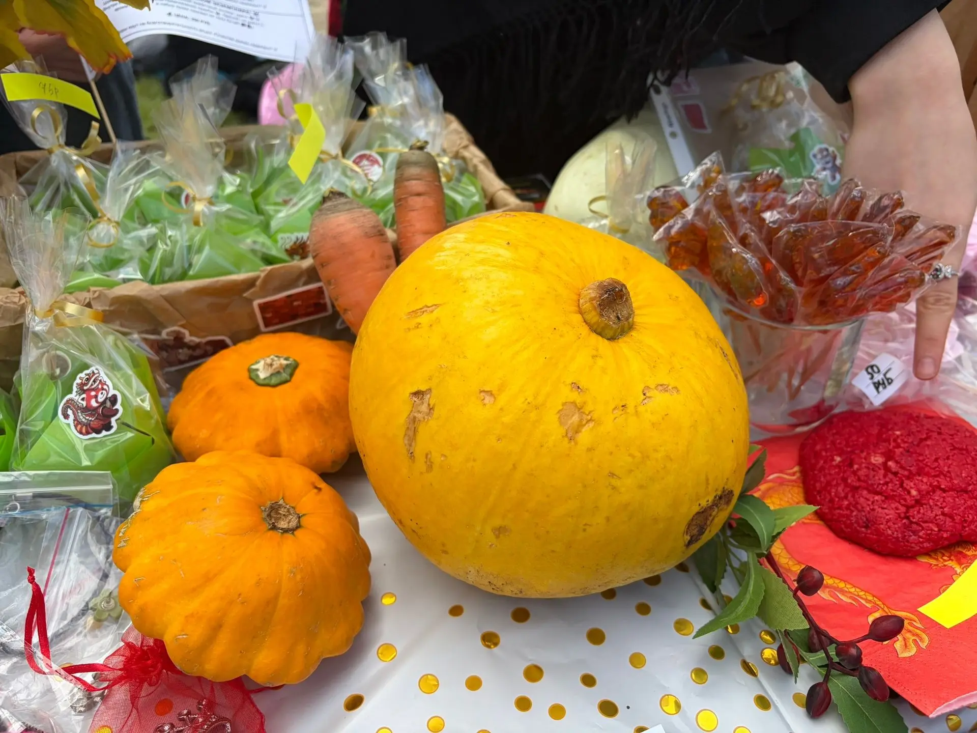 🍂Осенние краски надежды: Итоги 🍂