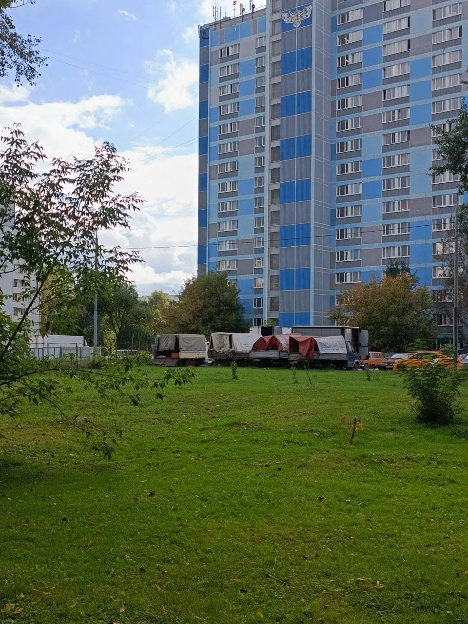 От подписчицы: Здравствуйте, вот уже много месяцев наблюдаю скопление сломанных газелей...