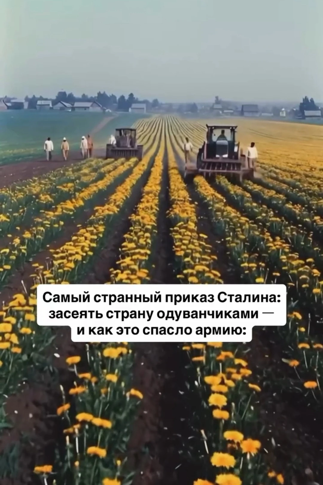 1941 год. Начинается Великая Отечественная война.