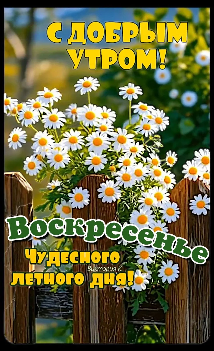 Рай открыток | Открытки 🥰